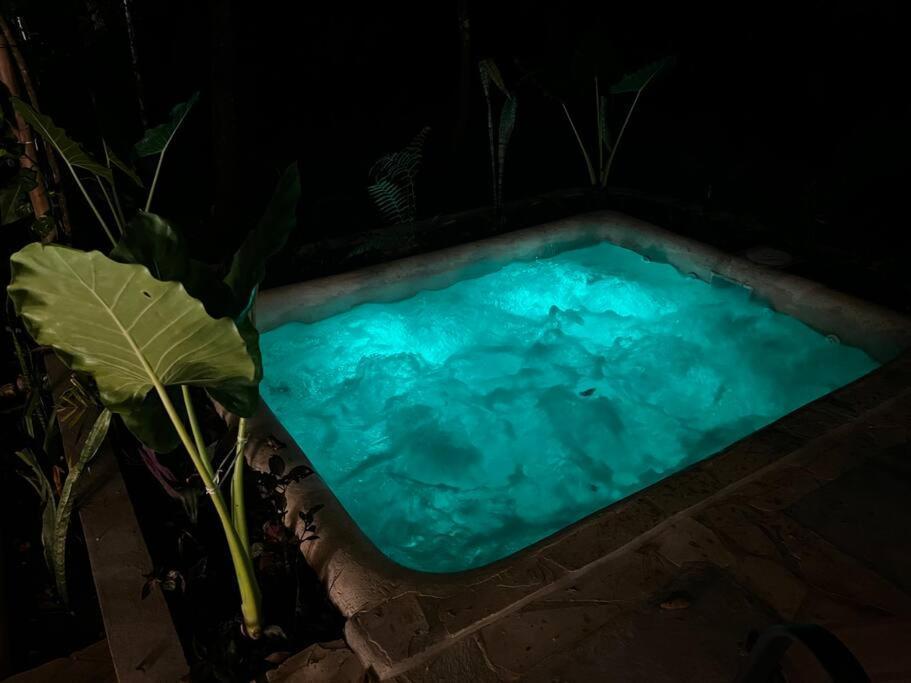 Cabana De Bambu En La Selva Palenque Ngoại thất bức ảnh
